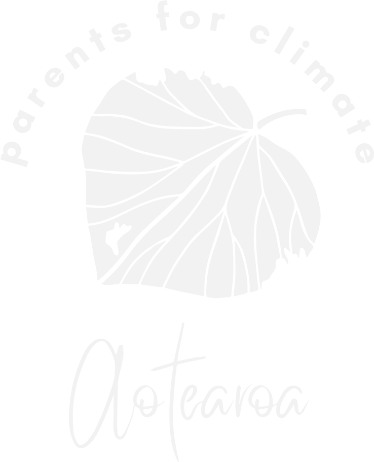 equal justice project